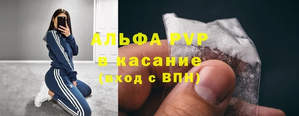 соль ск Дмитров