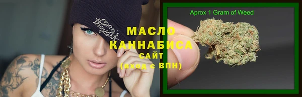 прущий лед Дмитриев