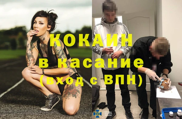 соль ск Дмитров