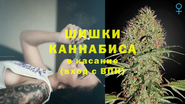 соль ск Дмитров