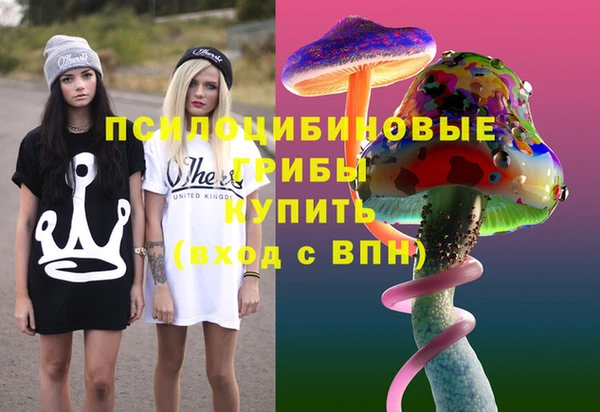 соль ск Дмитров