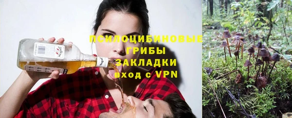 jwh Дмитровск
