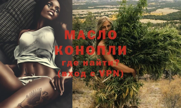 прущий лед Дмитриев