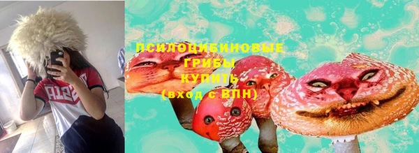 соль ск Дмитров