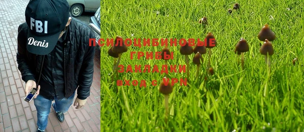 соль ск Дмитров