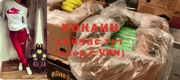 соль ск Дмитров