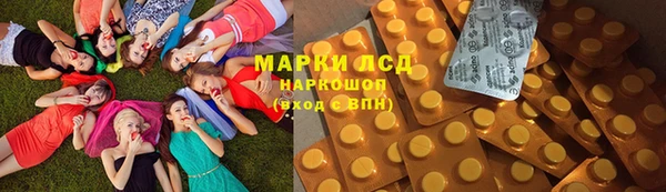 прущий лед Дмитриев