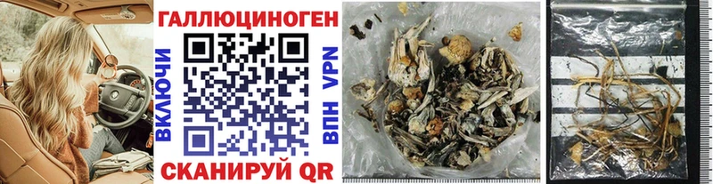 Купить где Киренск Псилоцибиновые грибы MAGIC MUSHROOMS